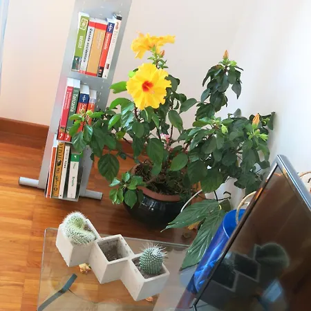 Appartement Bright And Lovely Private In Milan