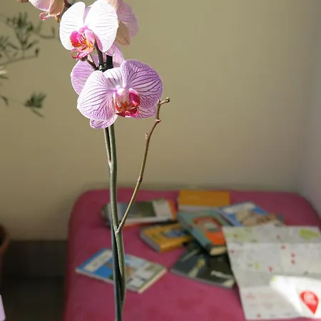 Bright And Lovely Private In Appartement Milan